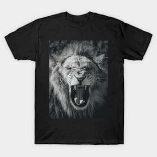 Beautiful lion T-Shirt